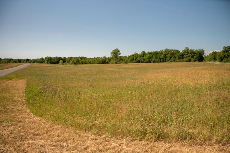 Farmer oswego 244.24 78