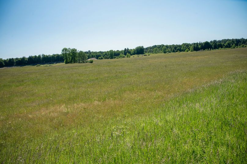 Farmer oswego 244.24 79