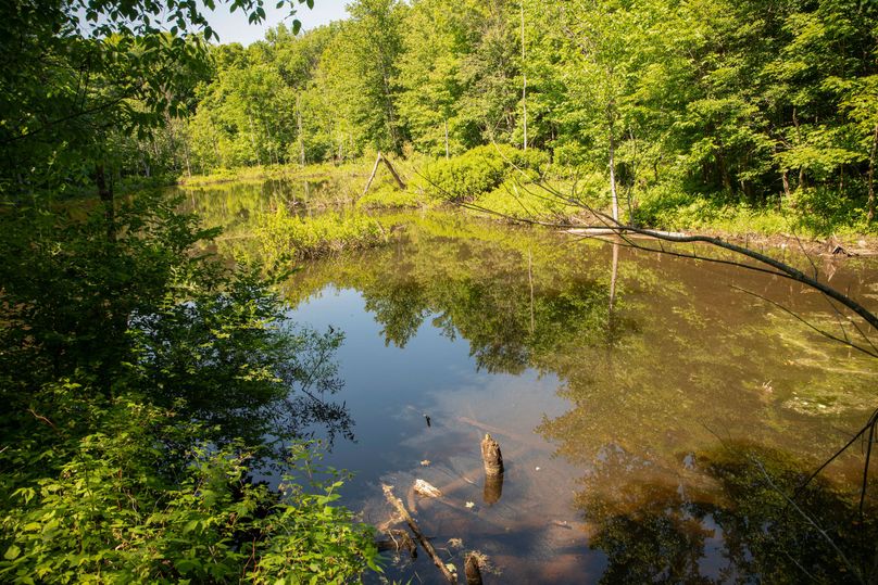 Farmer oswego 244.24 70