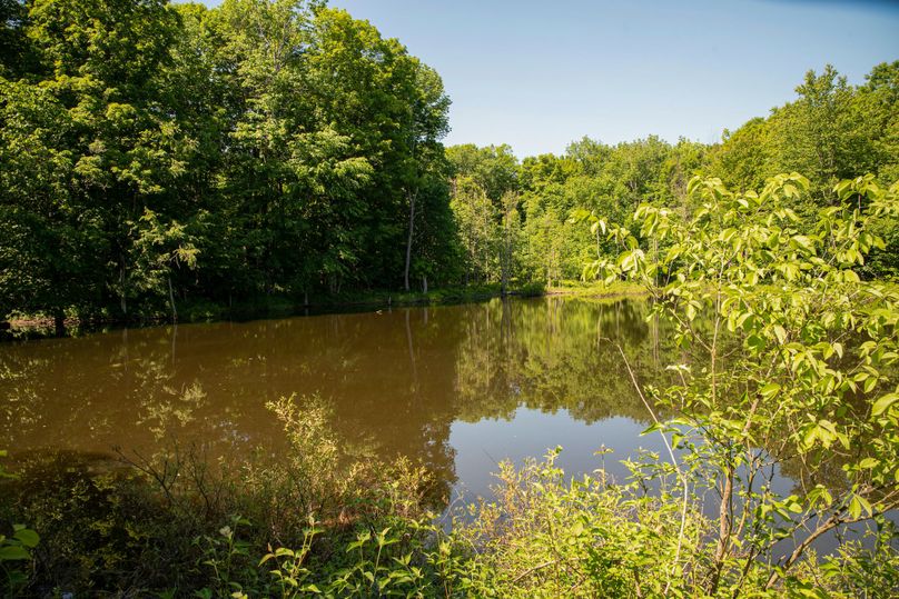 Farmer oswego 244.24 71