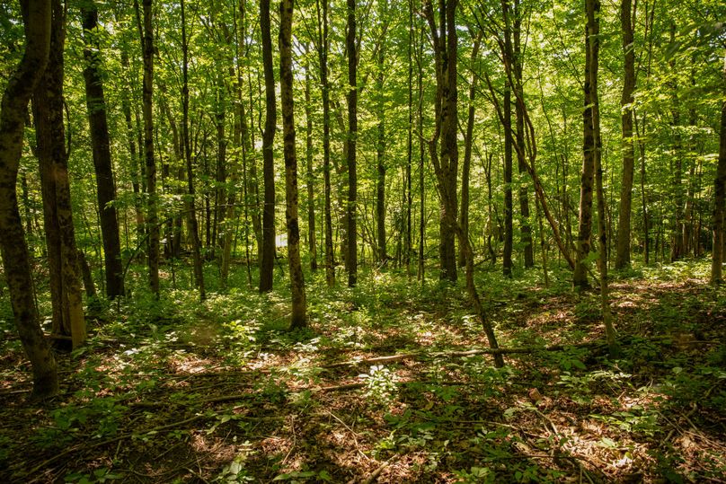 Farmer oswego 244.24 72