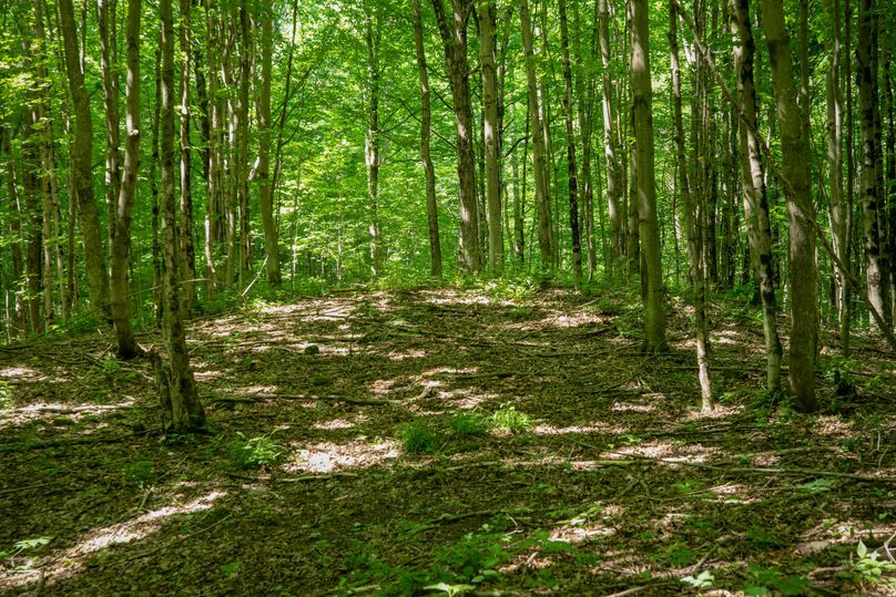 Farmer oswego 244.24 73