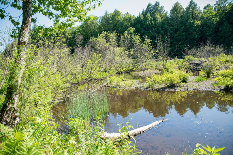 Farmer oswego 244.24 84