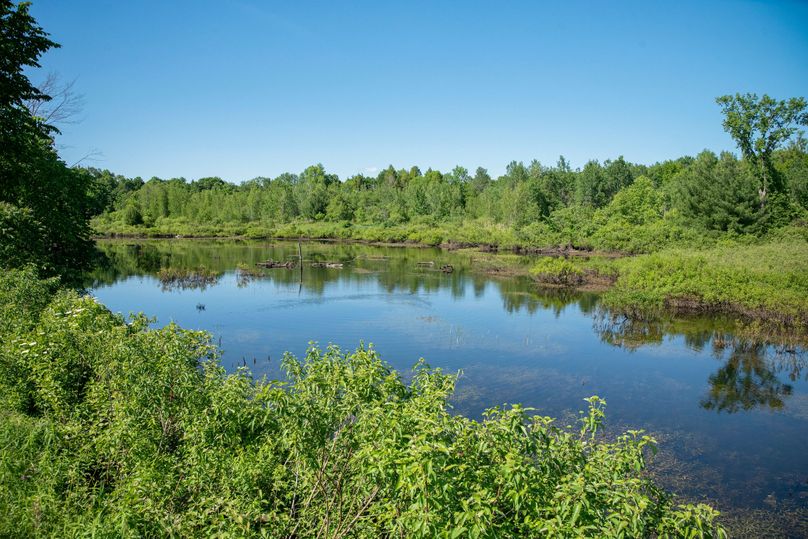 Farmer oswego 244.24 80
