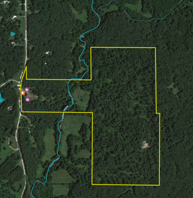 Screen shot 2020-08-09 at 2.47.02 pm