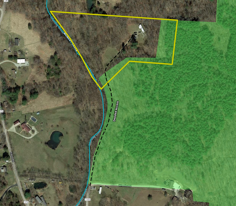 Screen shot 2020-08-17 at 9.13.07 am