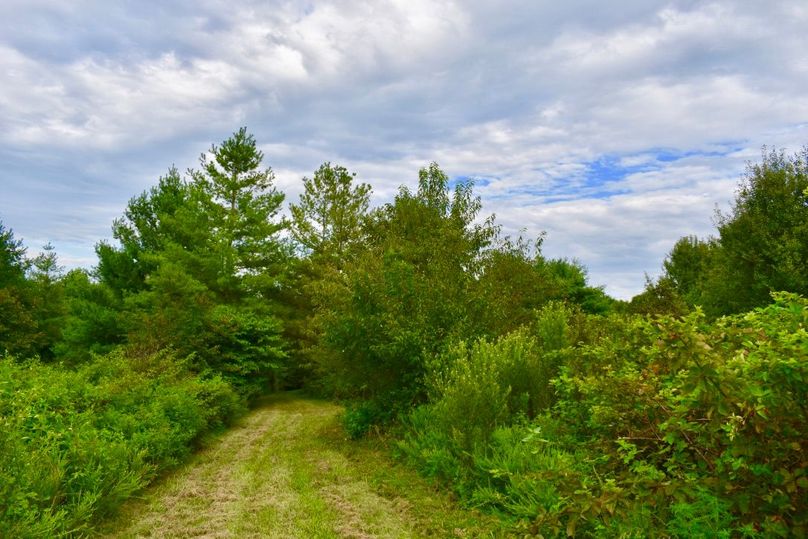 Mpaeakbdrhk0mwozfdw5aa thumb 64a1