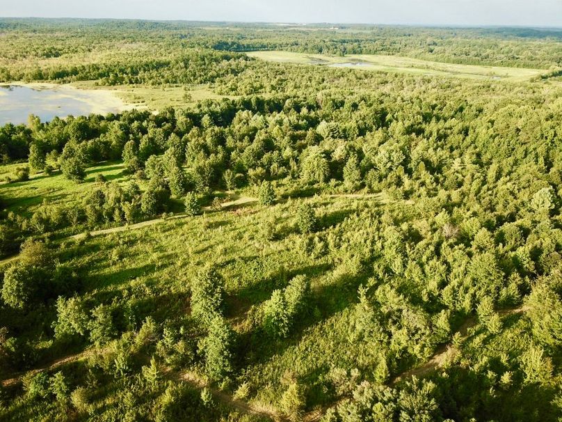 Oridj7rlq6w79b5fcvndw thumb 64f3