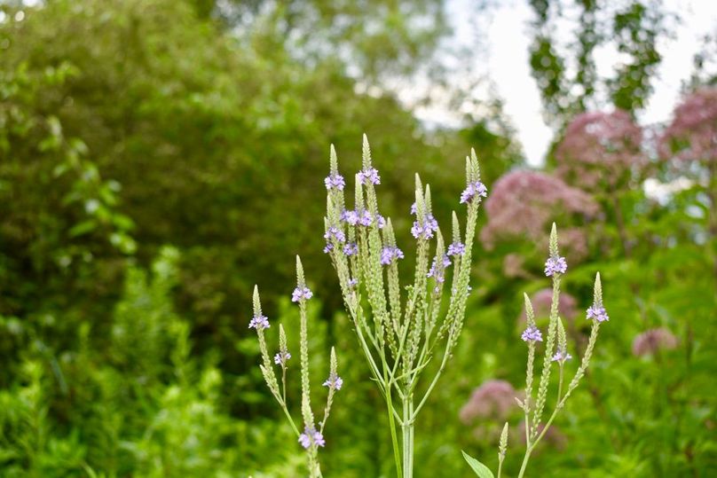 Az0c0hovqrygzsirc1dwrg thumb 64af