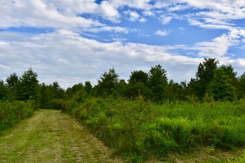 Curth2izt5ifz39d6cj7da thumb 649f