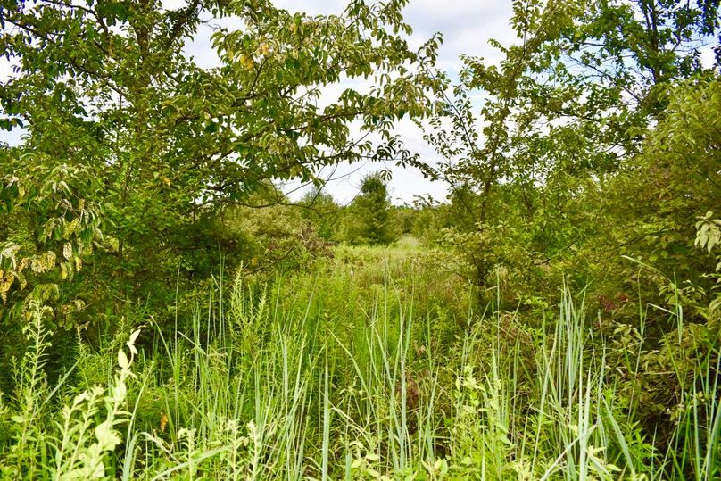 Coie2lsqkyojpwzheyy8a thumb 649a