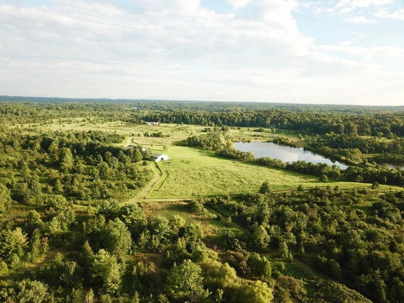 De osongrokvlre6t65jaw thumb 64f8