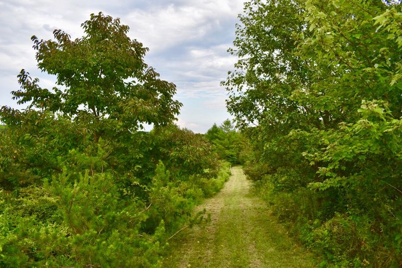 Drq5topjsfqari7xy2sxww thumb 64a0