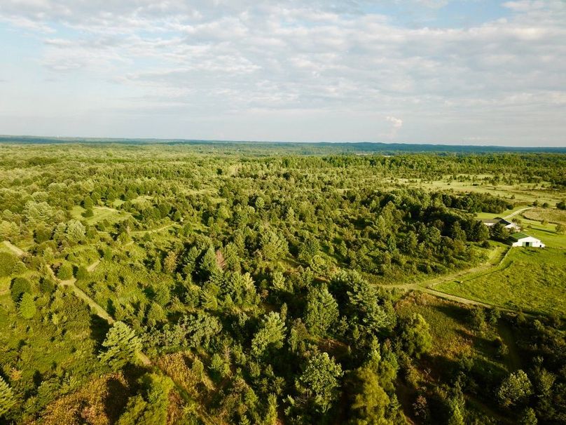 Fk7tiwidqlongxyuvtqsya thumb 64f9