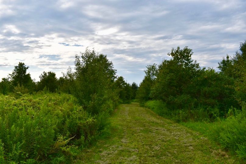 Fsir6xssmk9uaqaxofva thumb 649d