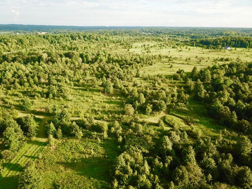 H9x1elyt7snl00l816fsw thumb 64f6