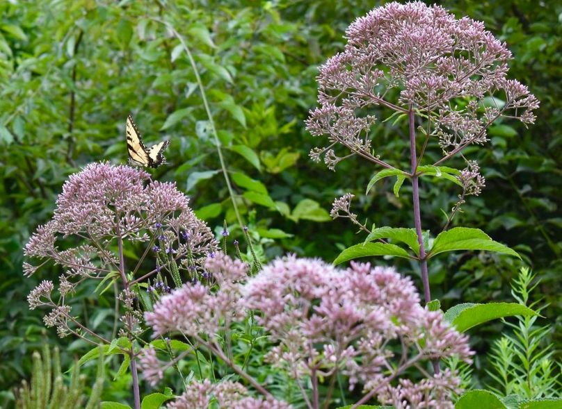 H1u8qajzqoyp7r909bbt4w thumb 64ae