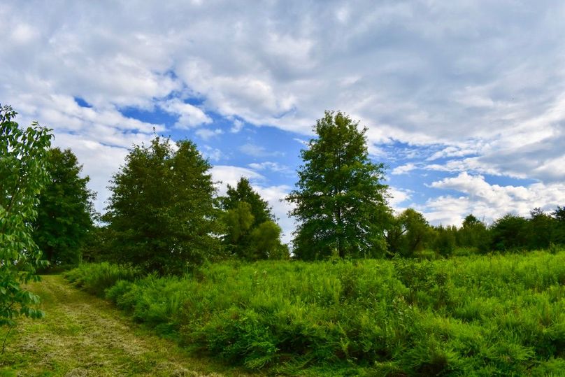 H3x1akcqrhi69sbkilwkwg thumb 64a3