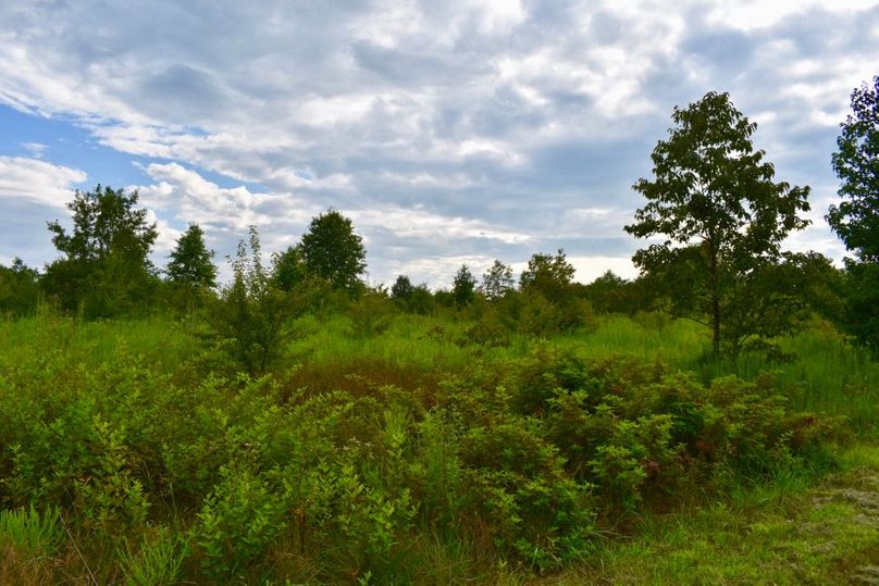 Iympoq3hsrs0x4lgiuhsqw thumb 64ac