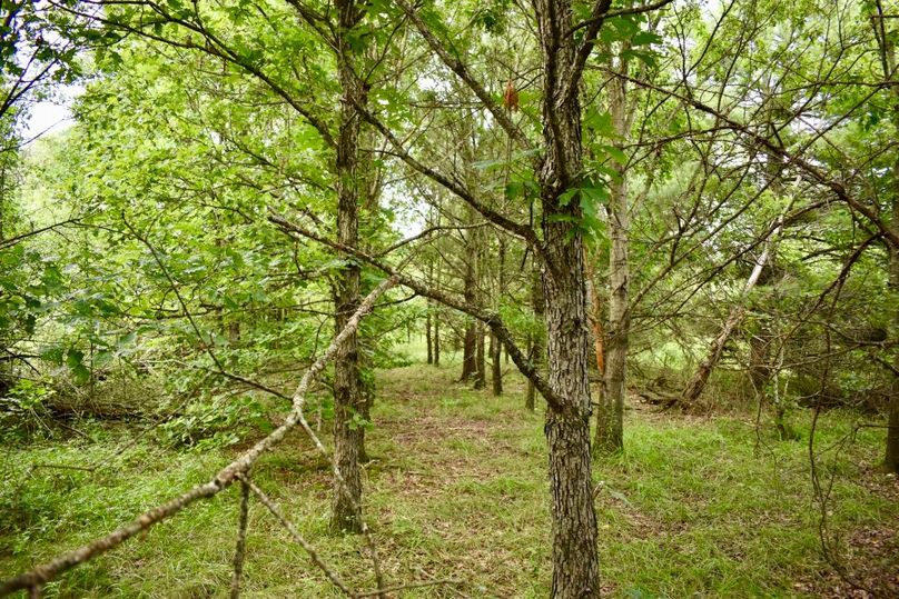 Irbr37ggs0eyn xo1vtf9q thumb 6499