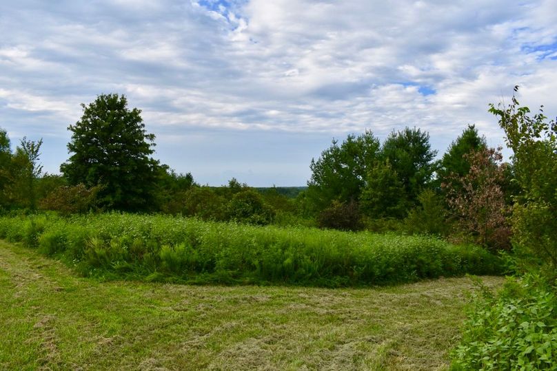 J19utfultooqmuufvkvofq thumb 649e