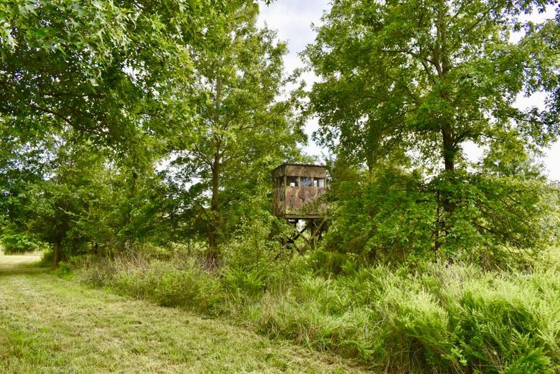 Lvzxn2hzqteerblmiaqppg thumb 64aa