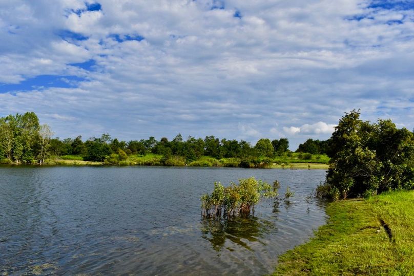 Livite6nrbglvnd6v4oepq thumb 6491