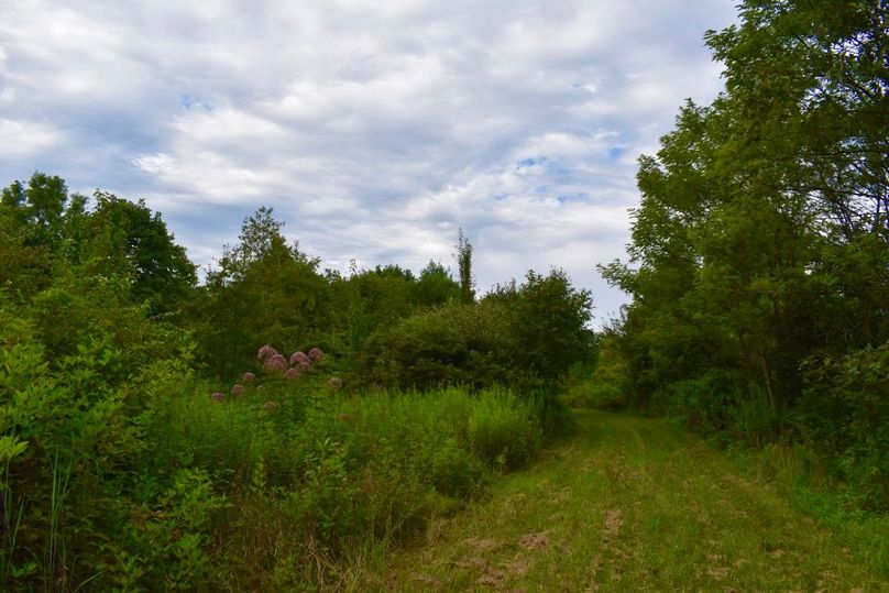 Puktdflqbqhhwkfqhivfa thumb 6498