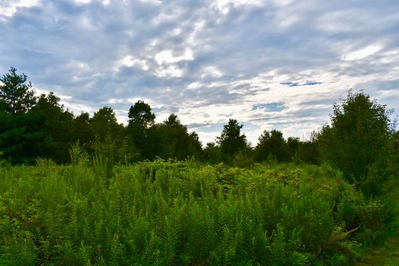 Pni83gt1s gu8itzvnsi4q thumb 649c