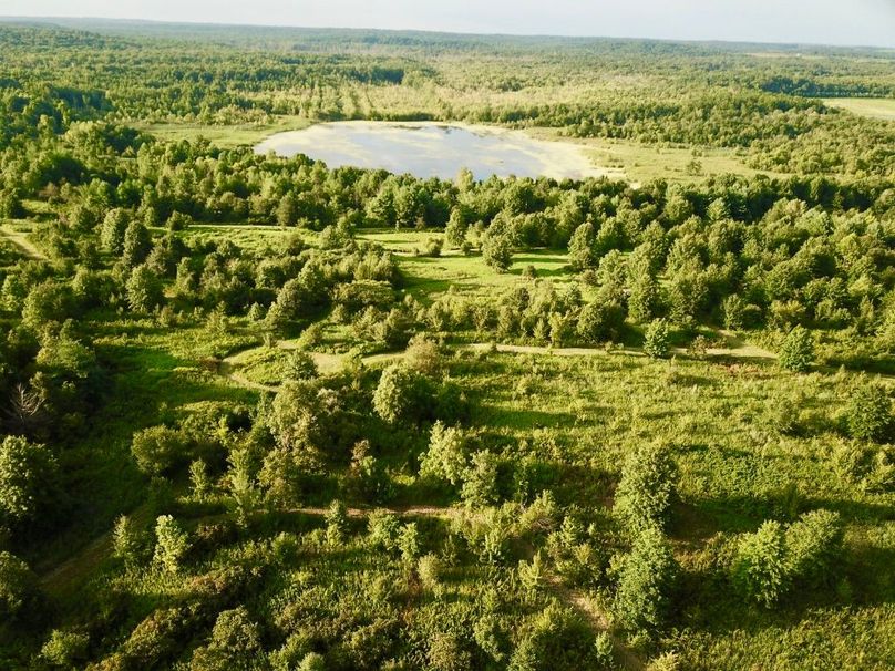 Q005iiy5toy93baba3deaq thumb 64f2