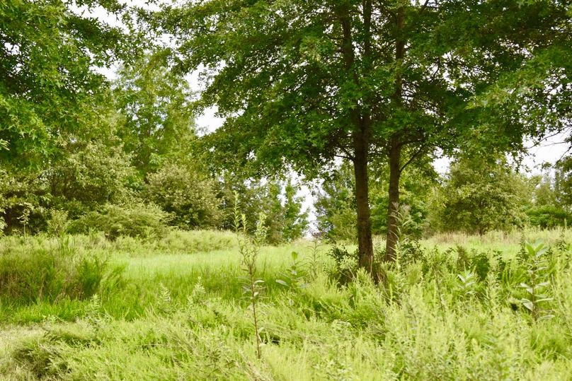 Rbcquujcscwjhsn9xw2qpw thumb 64a4