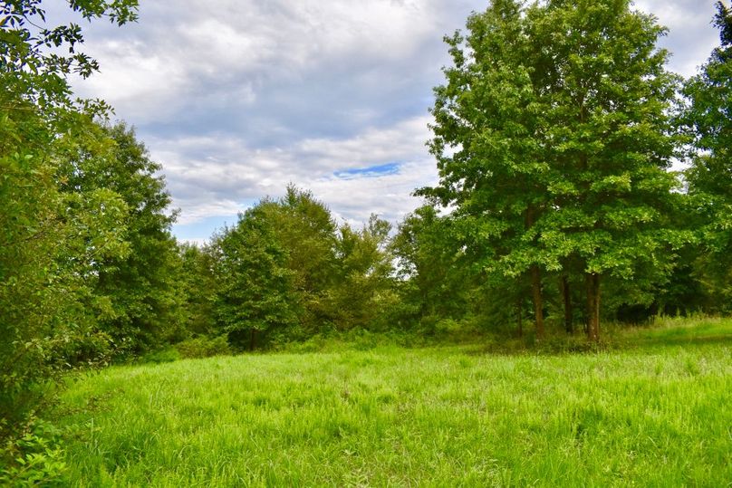 Tuishwubtj2ng5dw4dkia thumb 64a6