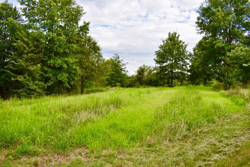 Thvoivhkqkoxxustgj8prg thumb 64a9