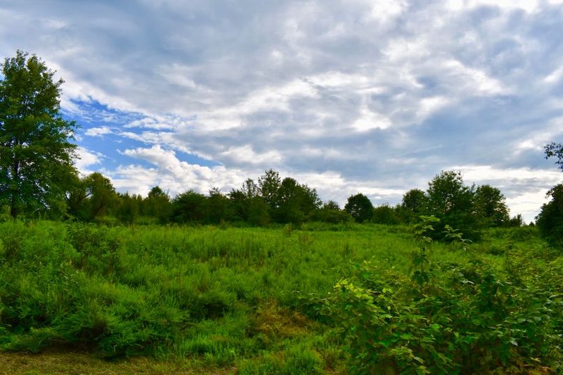 Ue9ow4e9qxh89w zvwmbg thumb 64a2