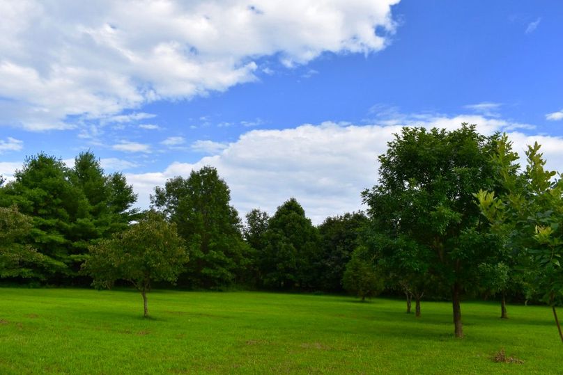 Vqr2icstt1ej1xa0gbsa6w thumb 6496