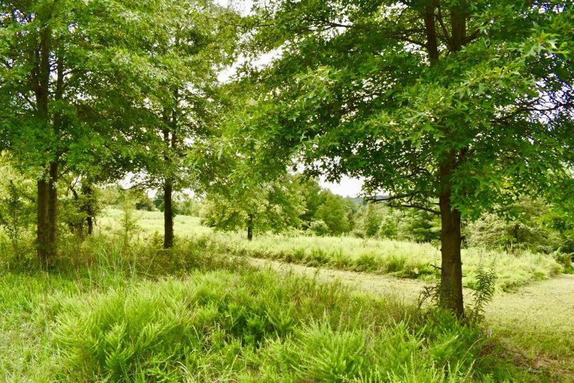 Xyxuj5lbrxqfficqd42ltw thumb 64a8