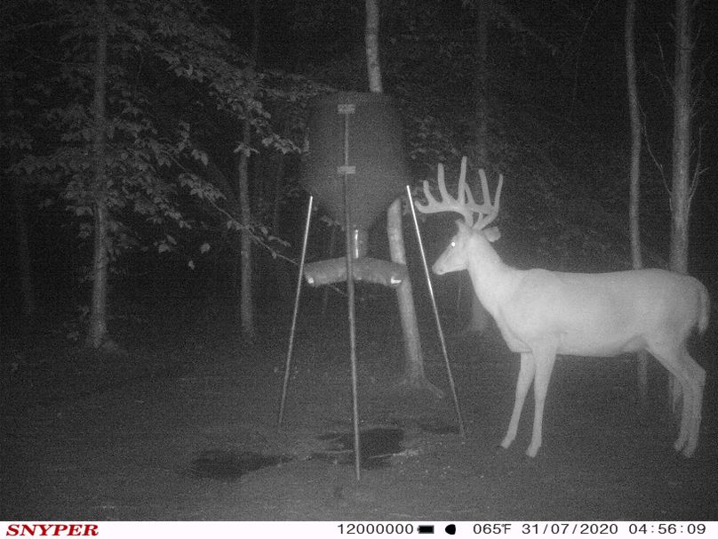 Trail cam40