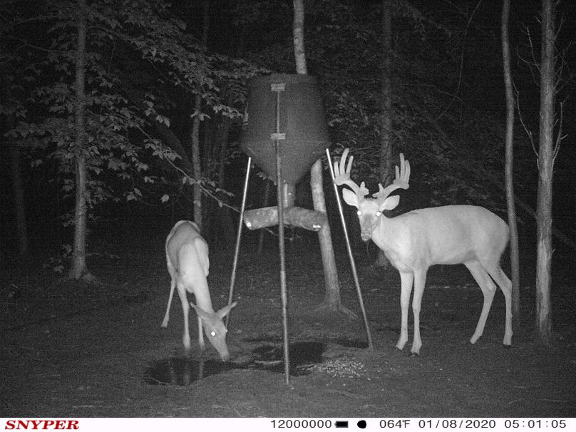 Trail cam41