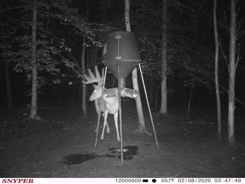 Trail cam43