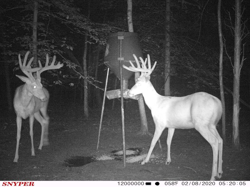 Trail cam44