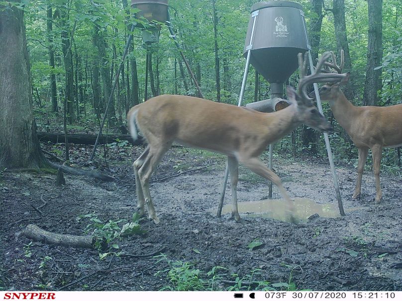 Trail cam45