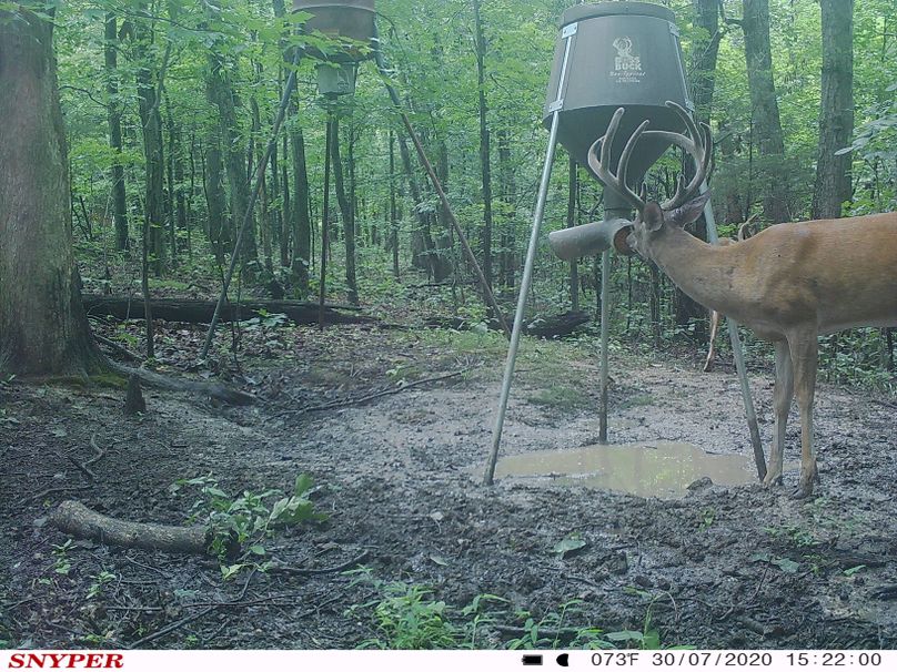 Trail cam46