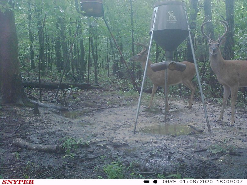 Trail cam48