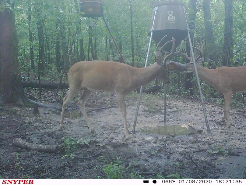 Trail cam50