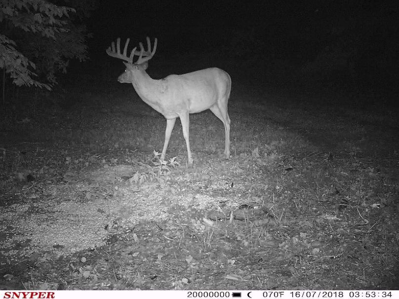 Trail cam8