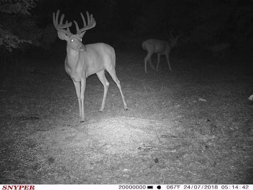 Trail cam12