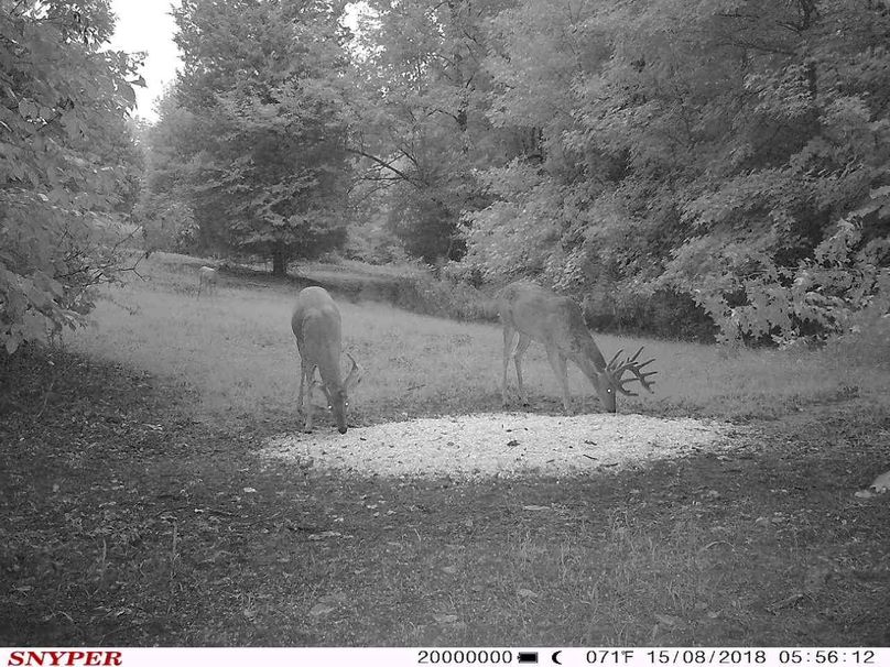 Trail cam16
