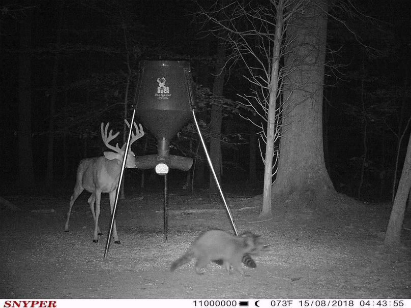 Trail cam17