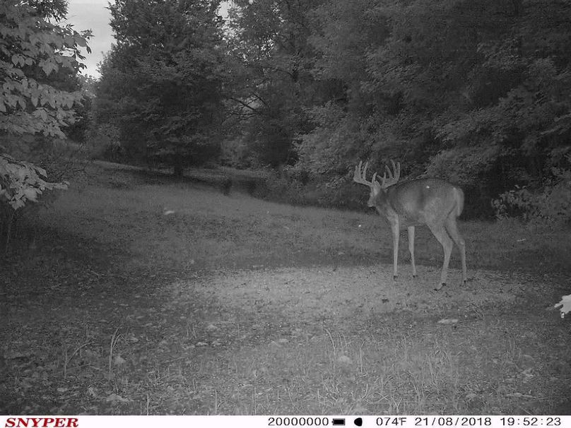 Trail cam21
