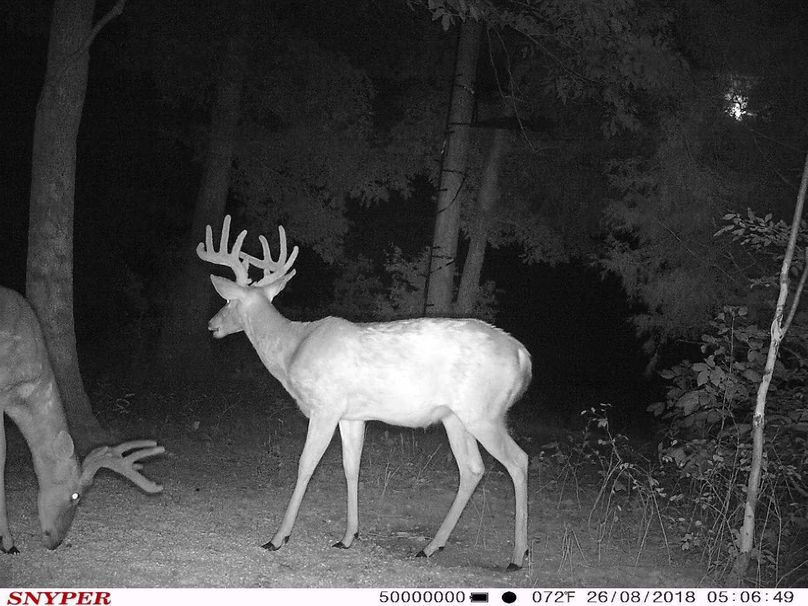 Trail cam22